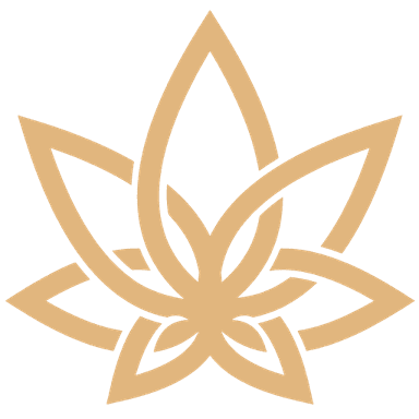 3Chi Logo