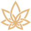 3Chi Logo