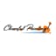 Cheerful Painting Logo