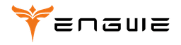 Engwe Logo