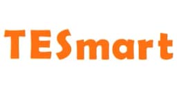 TESmart Logo