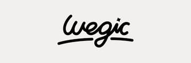 Wegic Logo