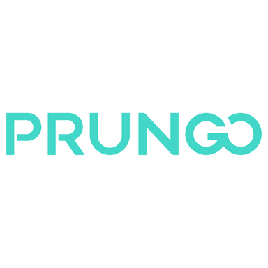 Prungo Logo